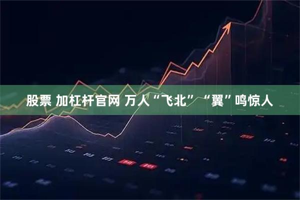股票 加杠杆官网 万人“飞北” “翼”鸣惊人