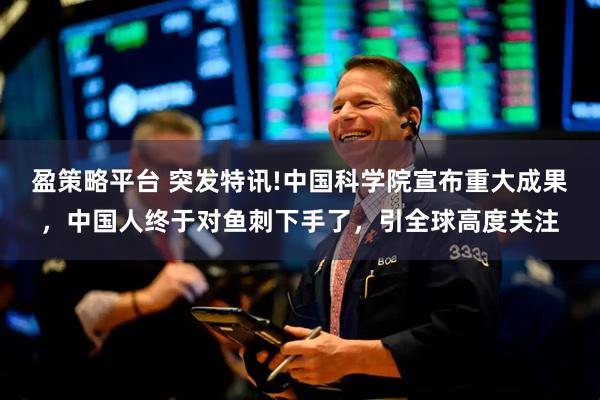 盈策略平台 突发特讯!中国科学院宣布重大成果，中国人终于对鱼刺下手了，引全球高度关注