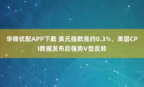 华锋优配APP下载 美元指数涨约0.3%，美国CPI数据发布后强势V型反转