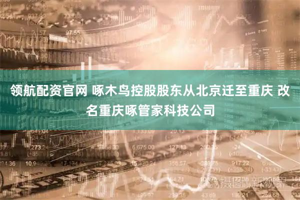 领航配资官网 啄木鸟控股股东从北京迁至重庆 改名重庆啄管家科技公司